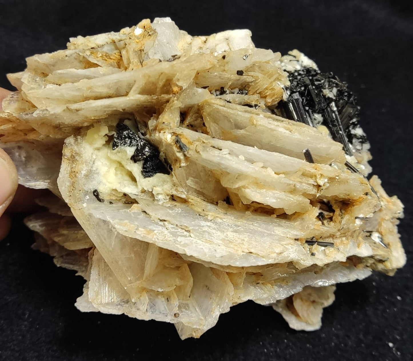 Terminated specimen of calcite with tourmaline 520 grams