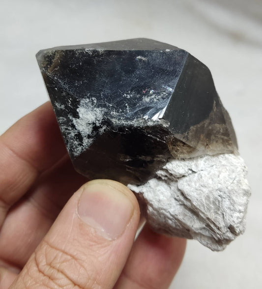 Terminated smoky quartz crystal  215 grams