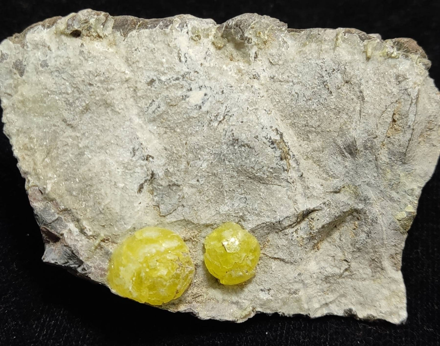 Natural yellow color Brucite crystals on matrix of chromite 114 grams