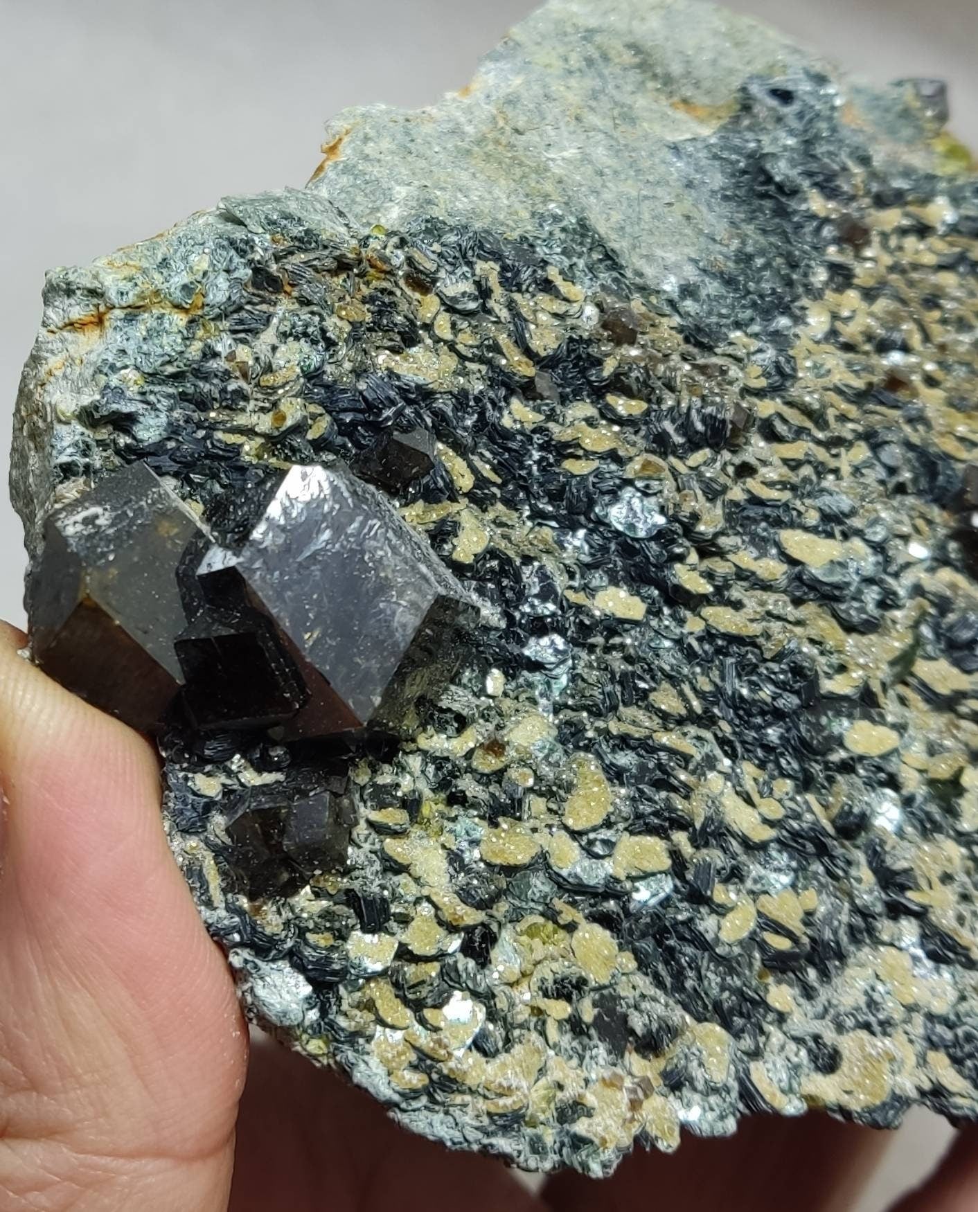 Andradite garnets on matrix with clinochlore 443 grams