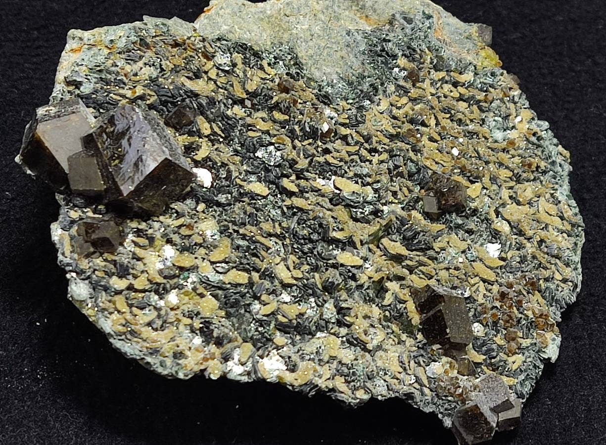 Andradite garnets on matrix with clinochlore 443 grams