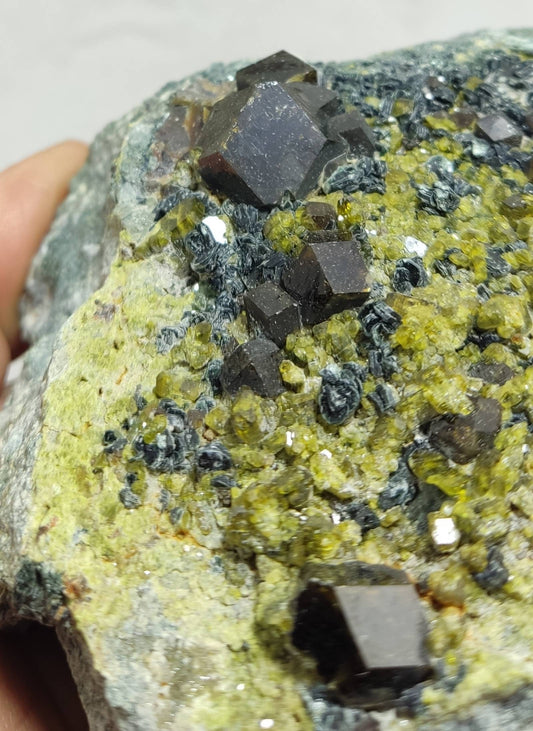 An aesthetic specimen of andradite garnets on matrix with clinochlore and epidote 750 grams