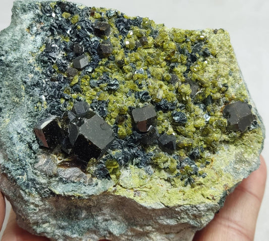 An aesthetic specimen of andradite garnets on matrix with clinochlore and epidote 750 grams