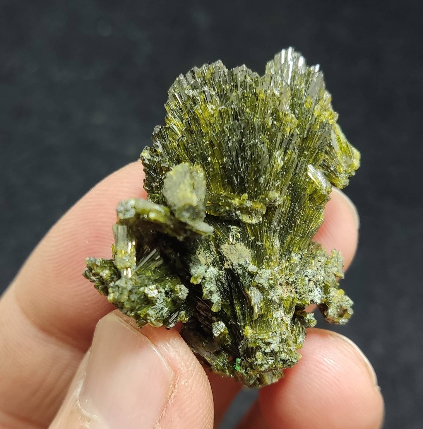 Lusterous Epidote crystals 20 grams