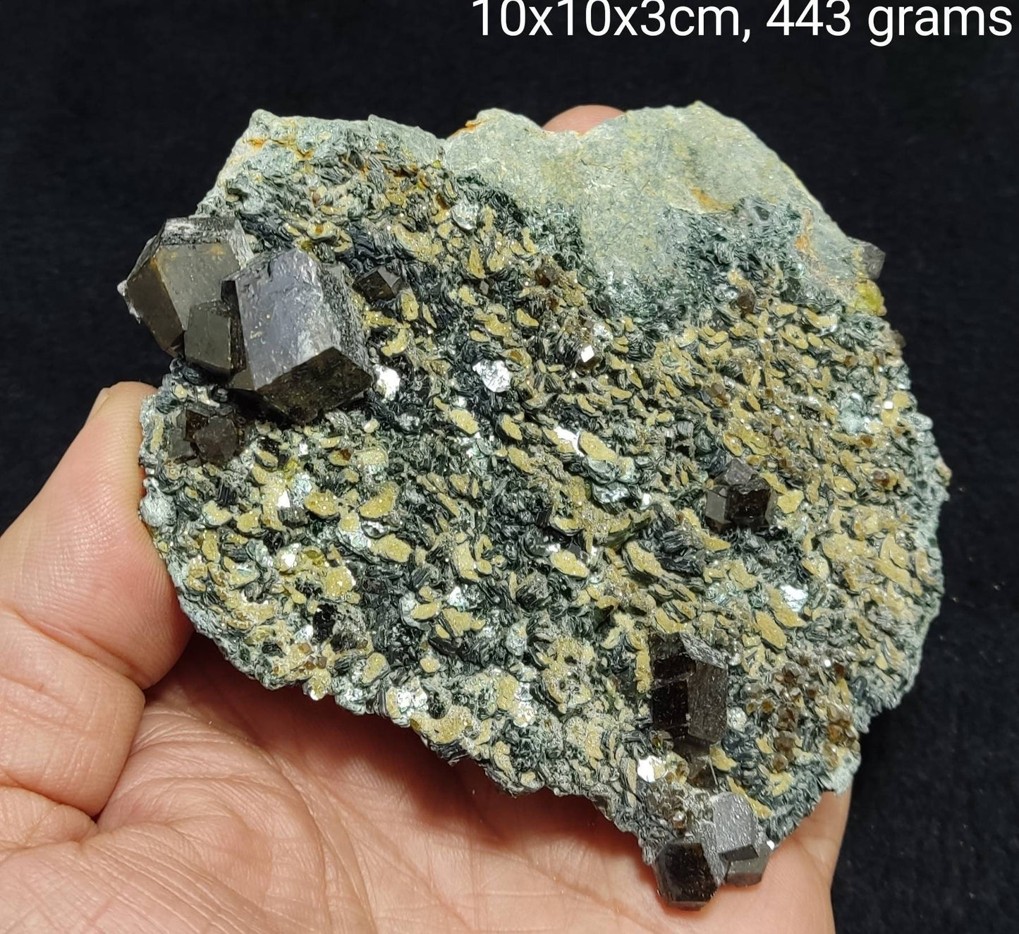 Andradite garnets on matrix with clinochlore 443 grams