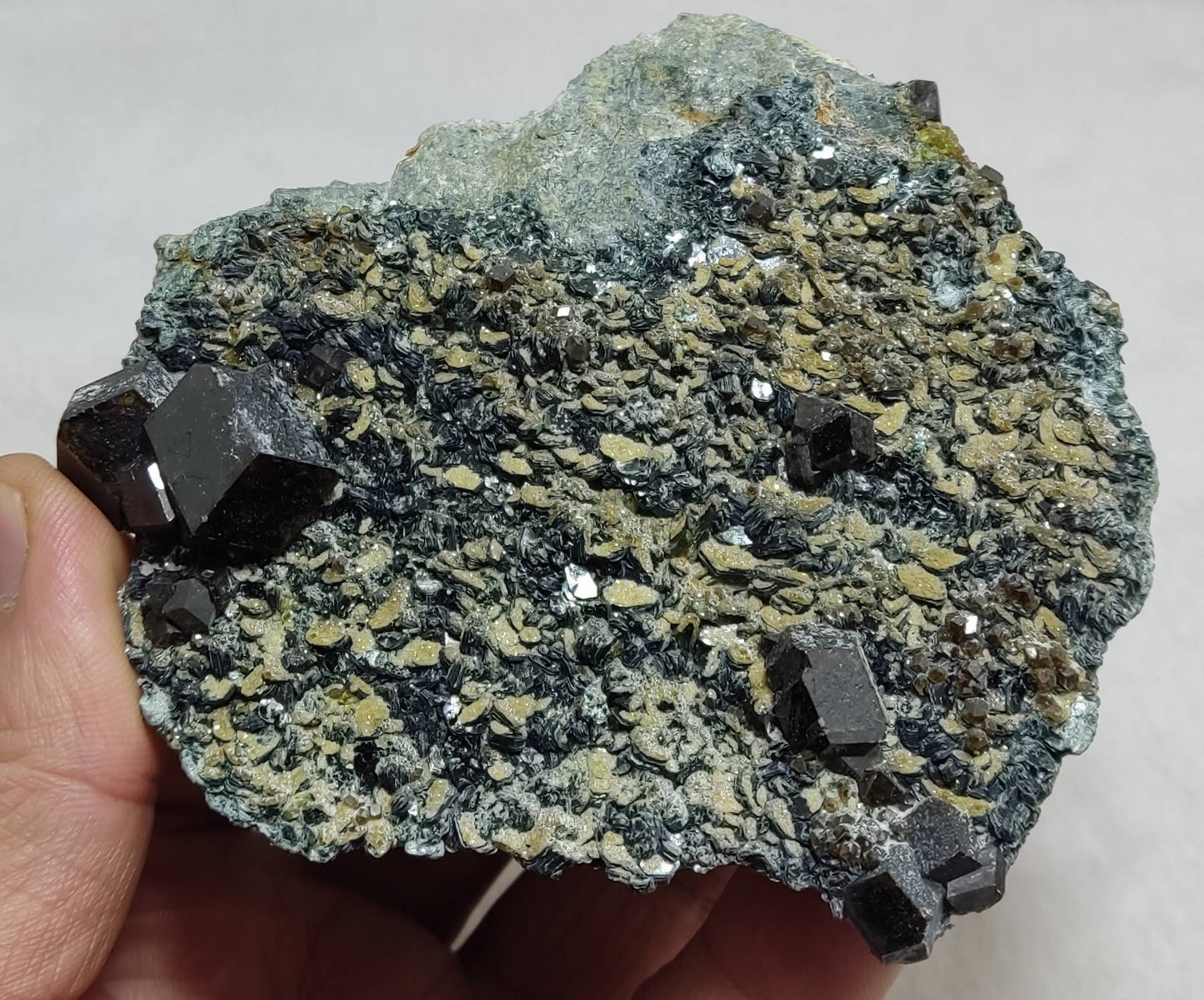 Andradite garnets on matrix with clinochlore 443 grams