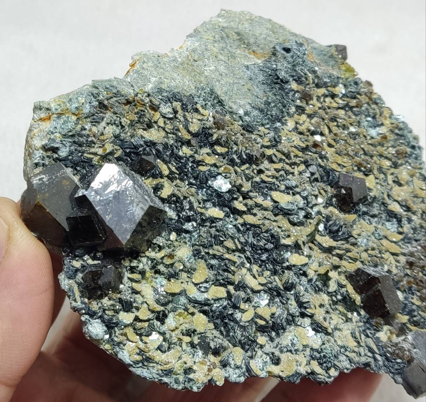 Andradite garnets on matrix with clinochlore 443 grams