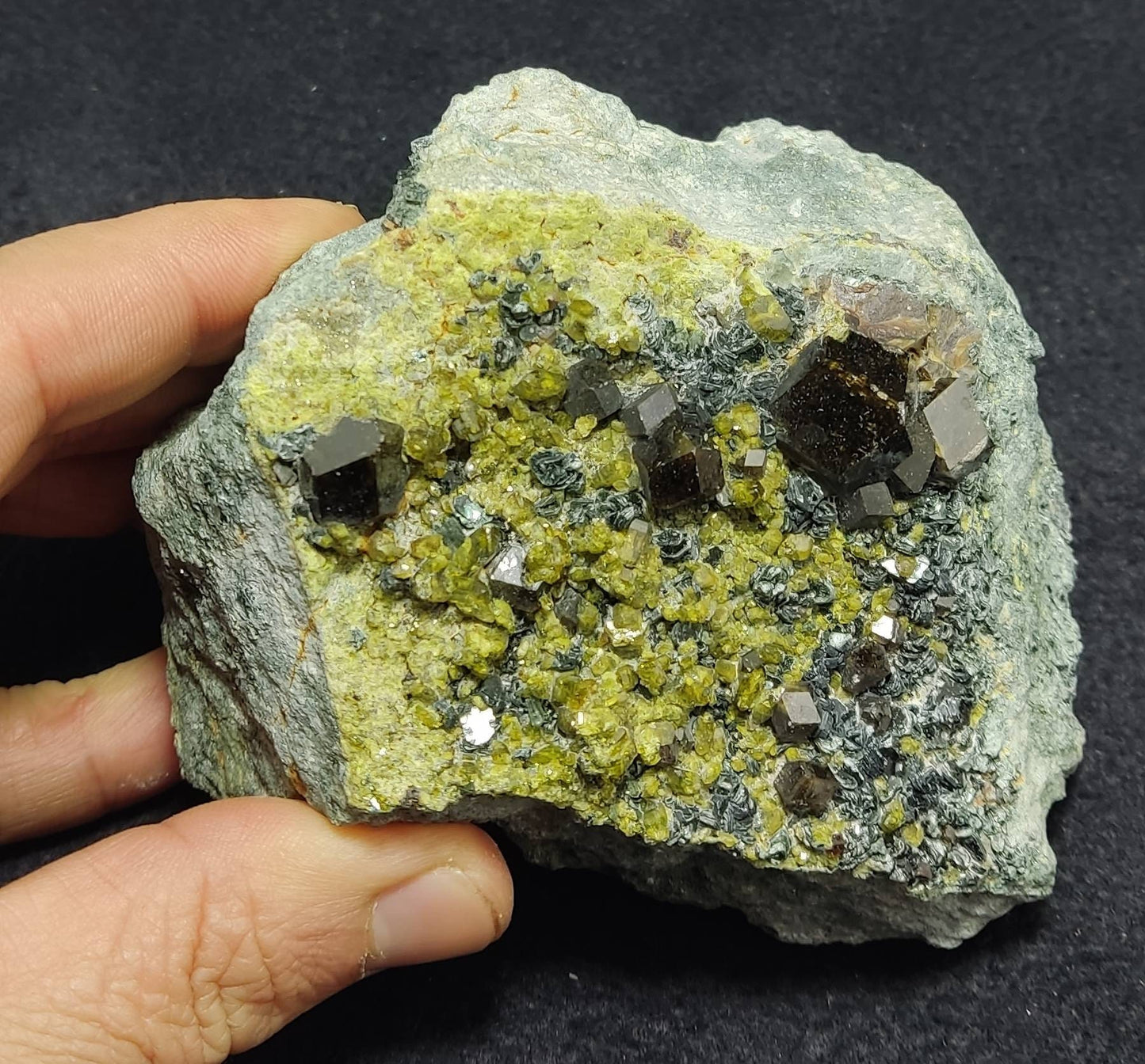 An aesthetic specimen of andradite garnets on matrix with clinochlore and epidote 750 grams