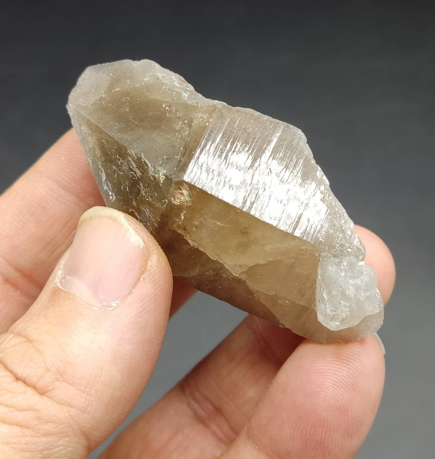 Terminated smoky quartz crystal with muscovite 60 grams
