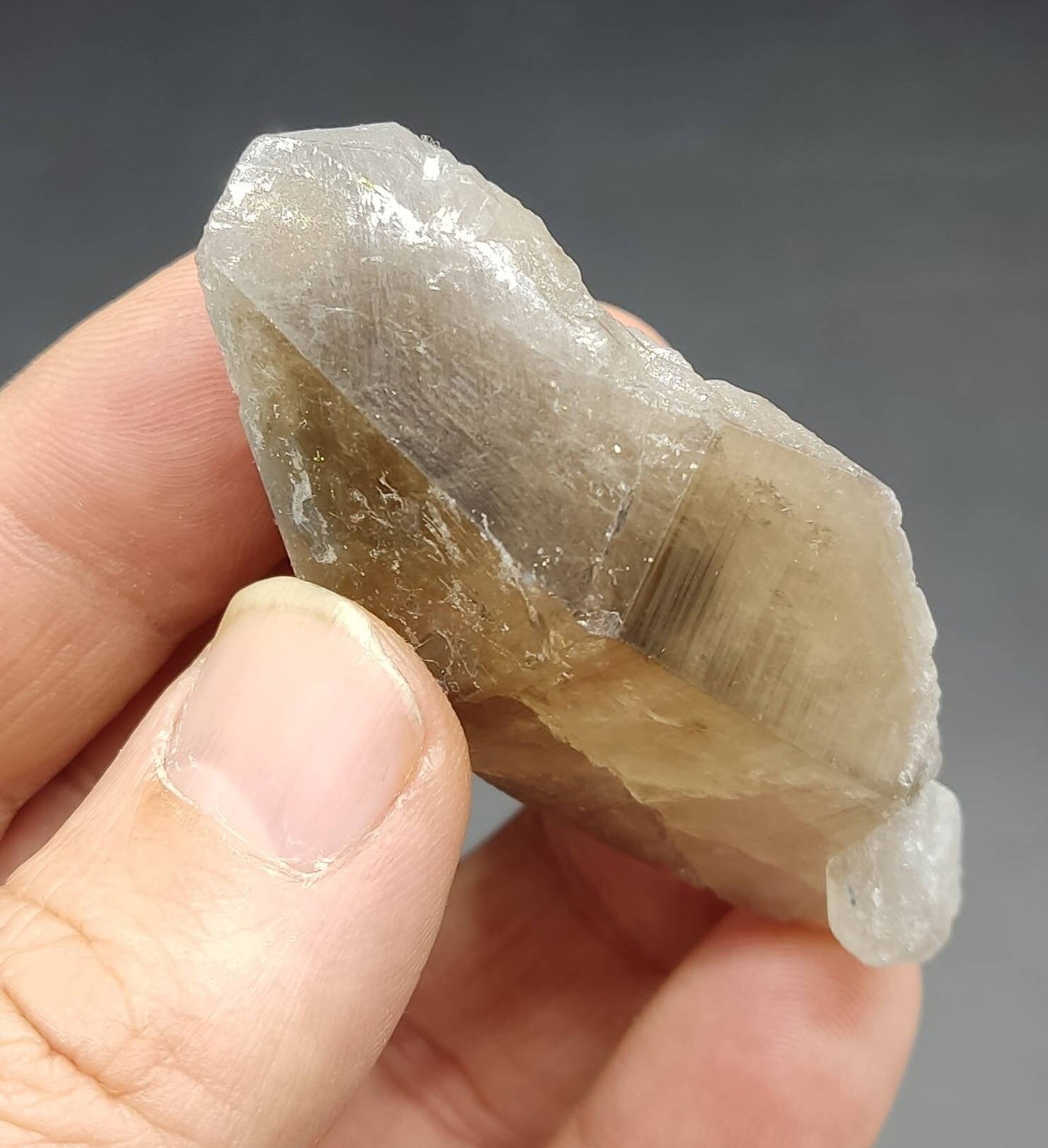 Terminated smoky quartz crystal with muscovite 60 grams