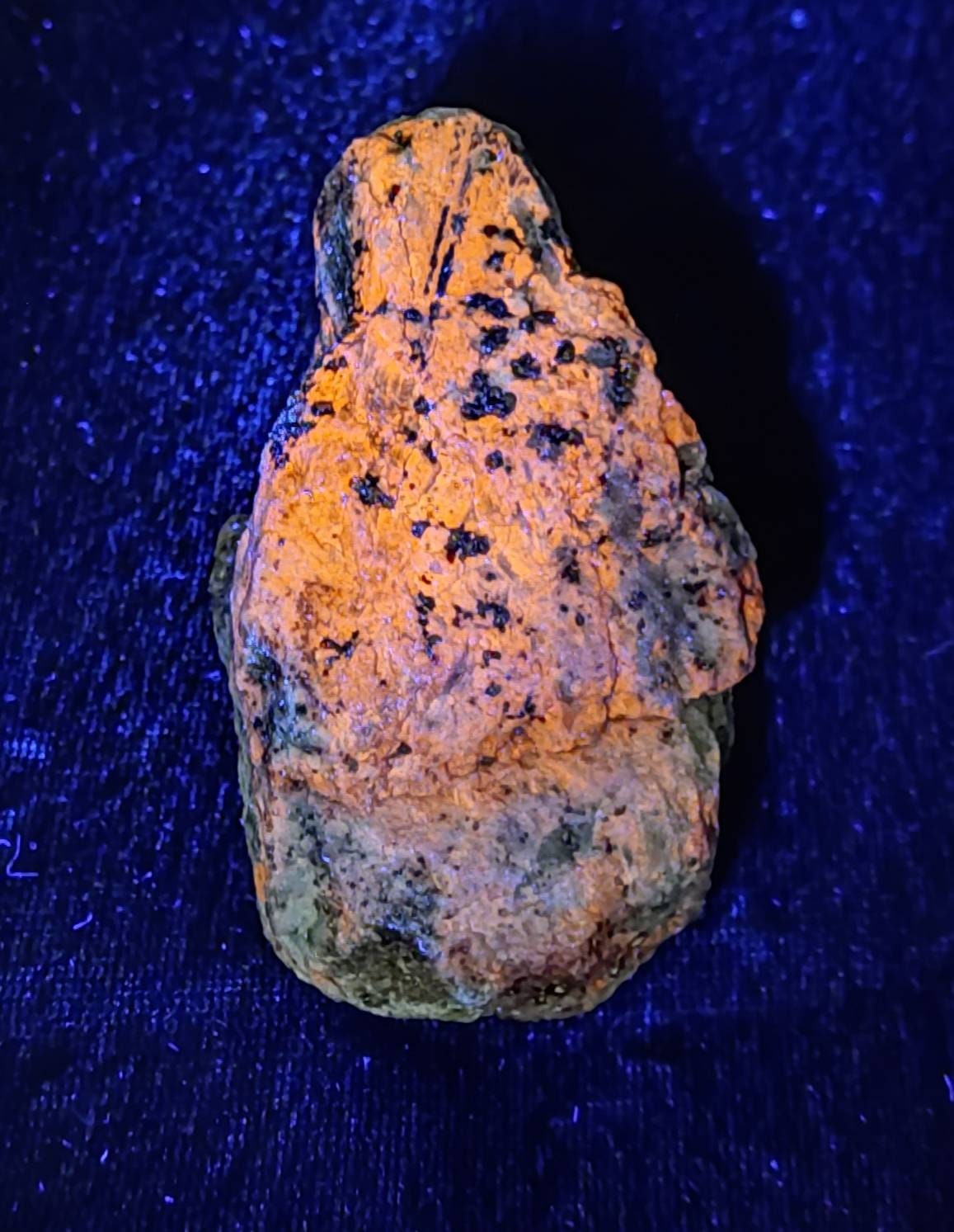 Fluorescent Minerals Lazurite in matrix with pyrite rough specimen 203 grams