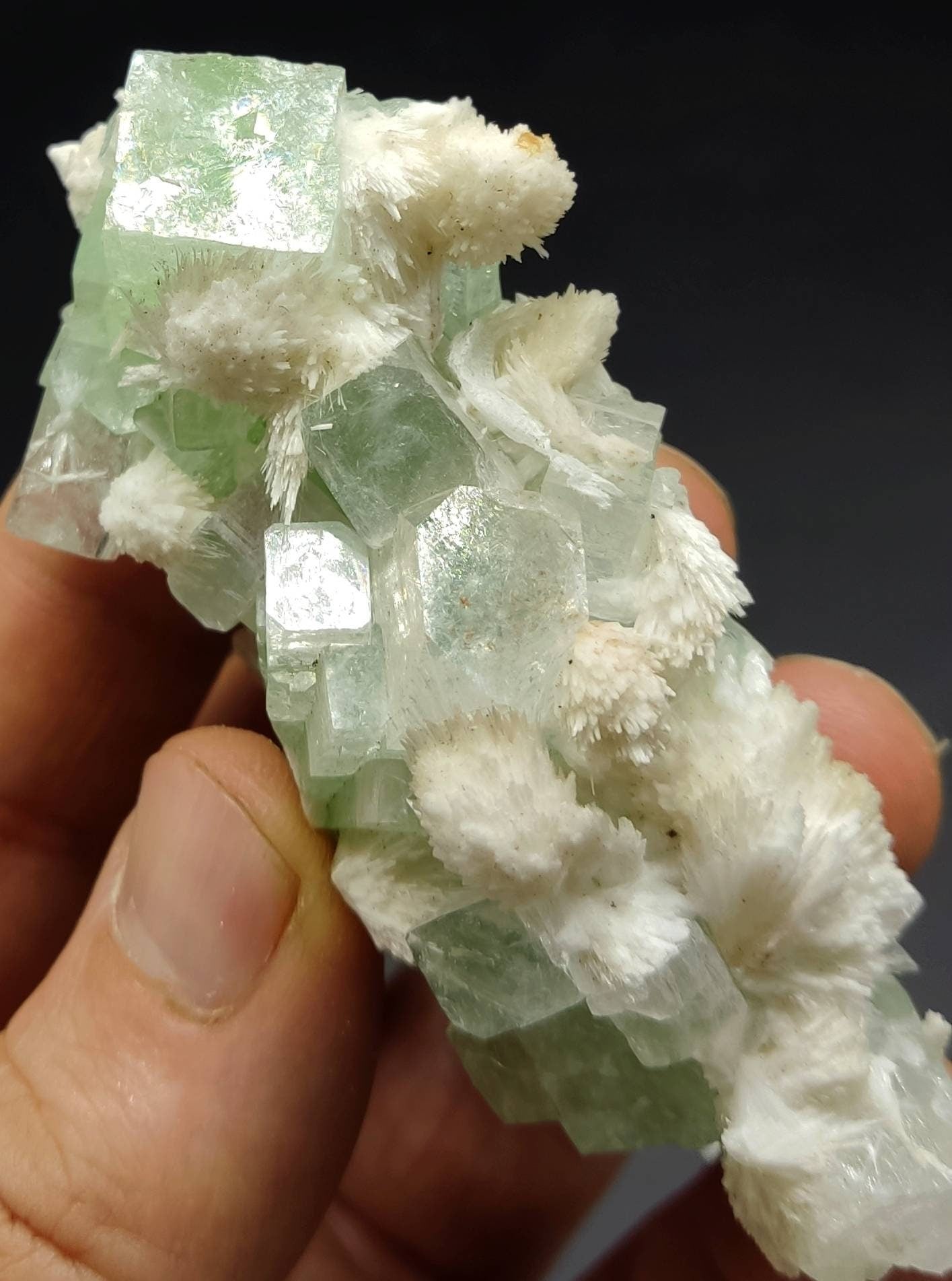 Green cubic apophyllite cluster with associated scolecite 70 grams