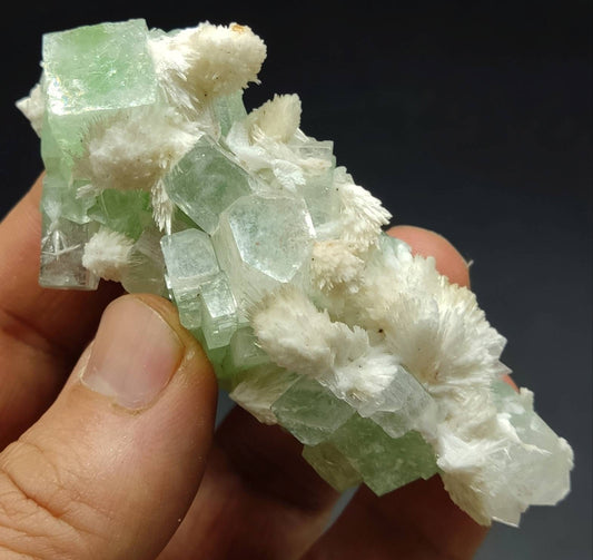 Green cubic apophyllite cluster with associated scolecite 70 grams