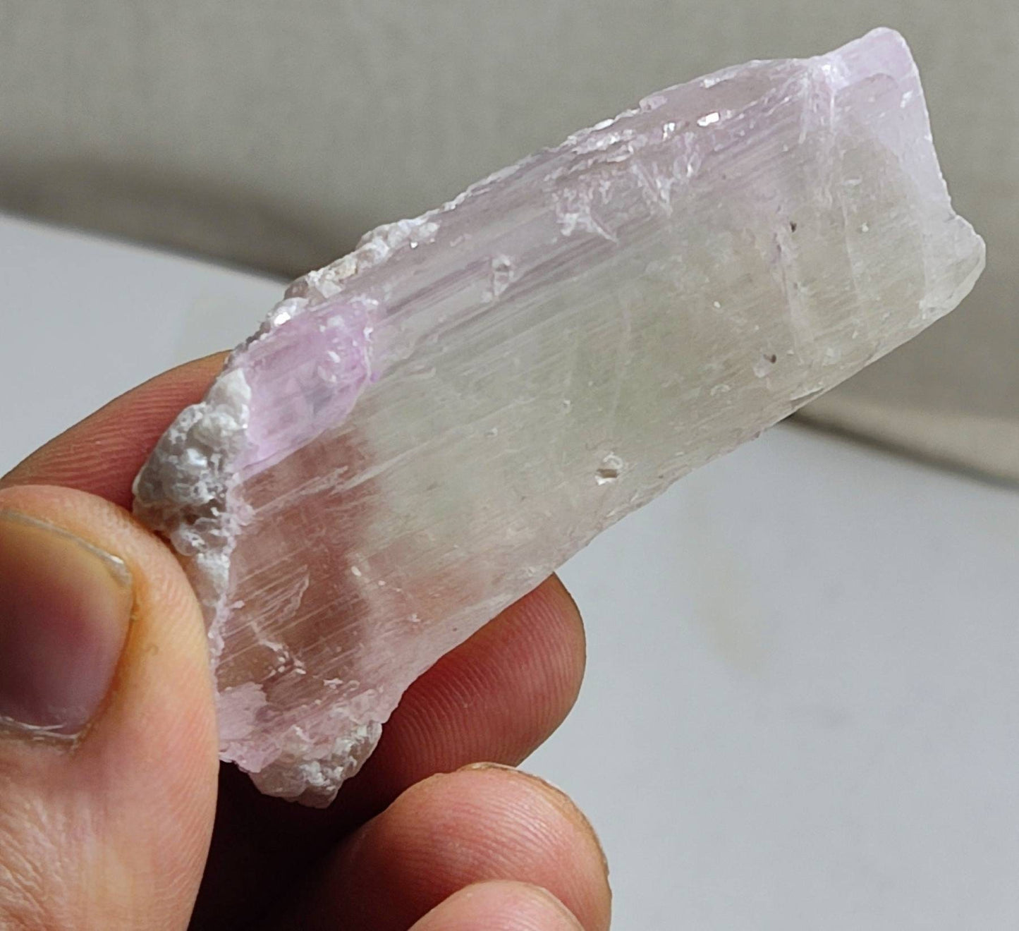 Terminated bicolor crystal of specimen spodumene 66 grams
