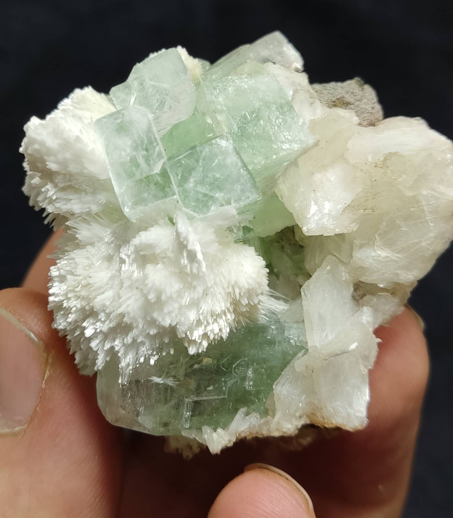 Green cubic apophyllite cluster with scolecite and stilbite 70 grams