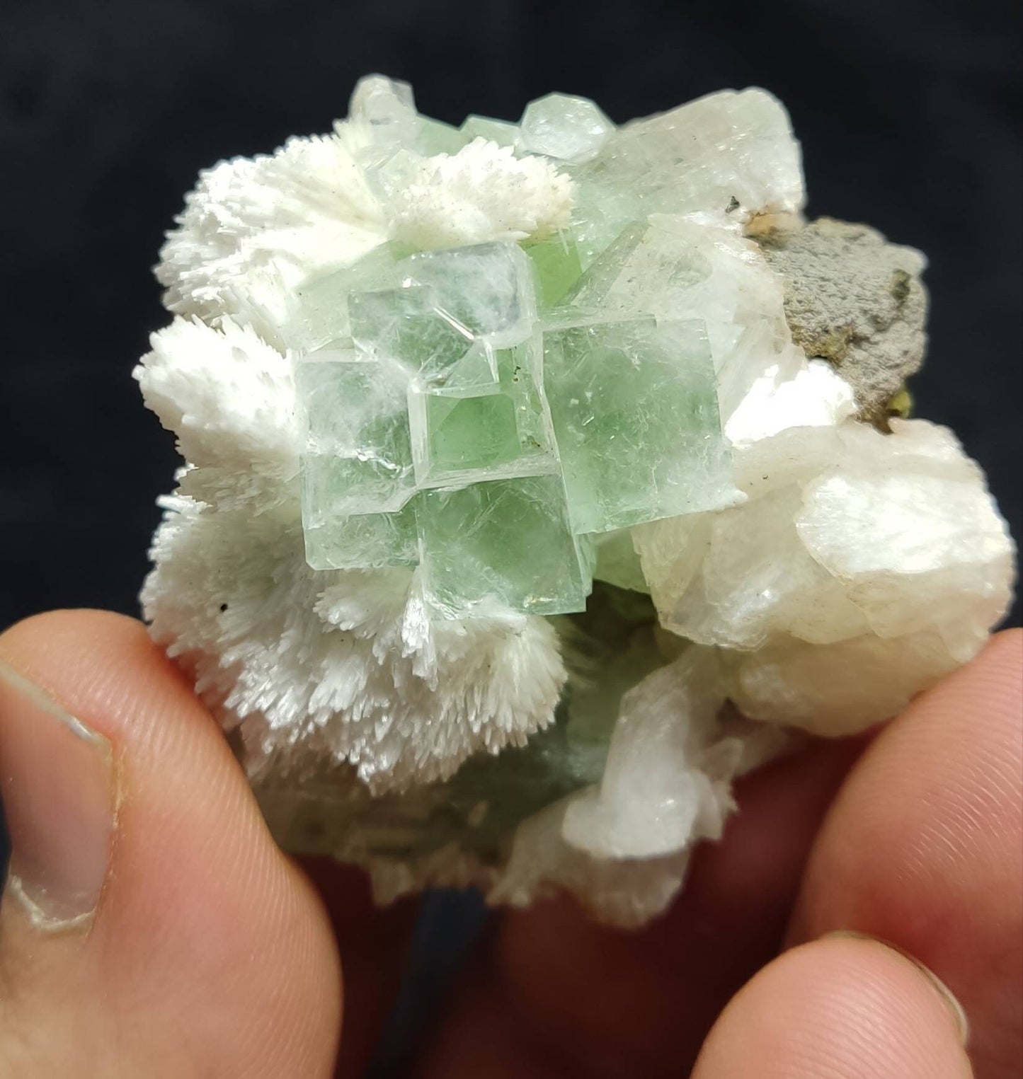 Green cubic apophyllite cluster with scolecite and stilbite 70 grams