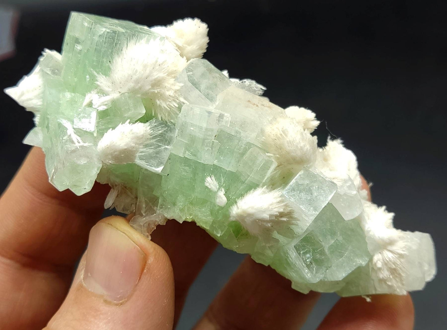 Green cubic apophyllite cluster with associated scolecite 70 grams