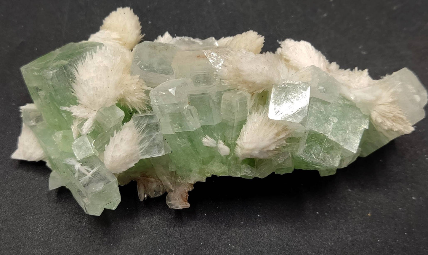 Green cubic apophyllite cluster with associated scolecite 70 grams