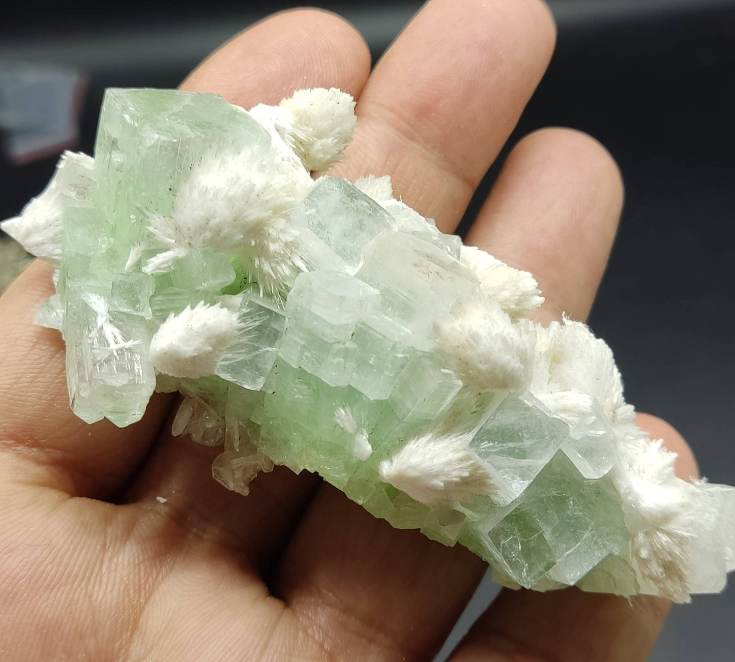 Green cubic apophyllite cluster with associated scolecite 70 grams