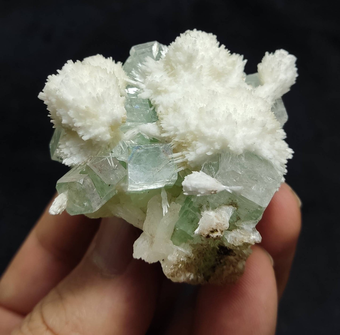 Green cubic apophyllite cluster with scolecite and stilbite 70 grams