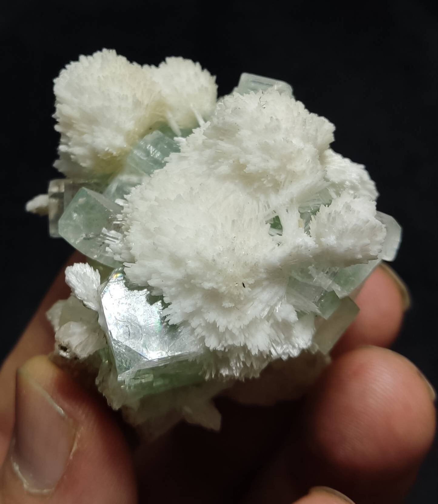 Green cubic apophyllite cluster with scolecite and stilbite 70 grams