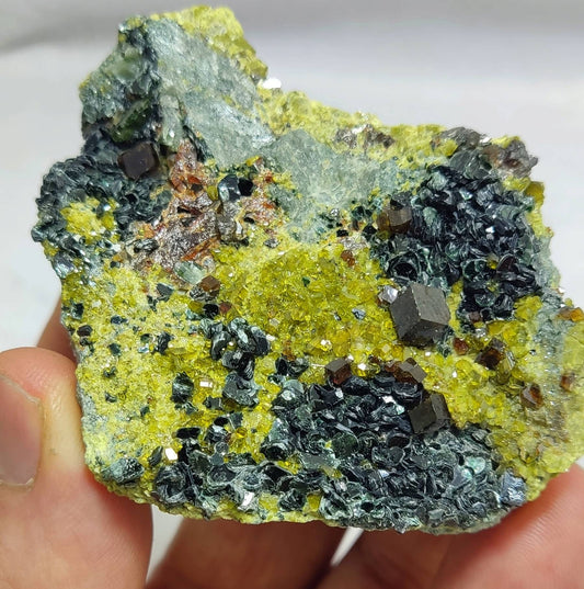 Andradite garnets on matrix with clinochlore and epidote 123 grams