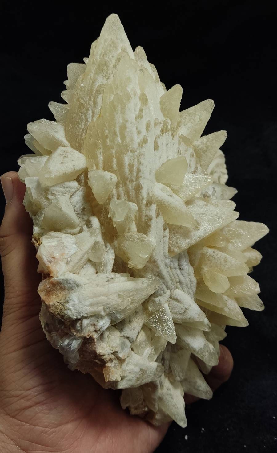 Dogteeth calcite crystals cluster cabinet size 2200 grams