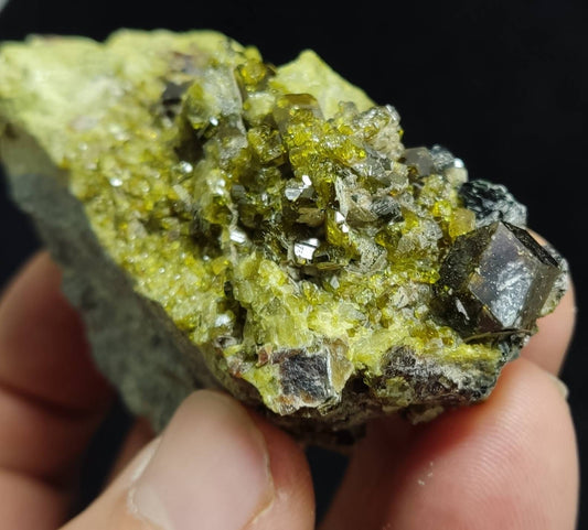 Andradite garnets on matrix with clinochlore and epidote an aesthetic specimen 135 grams