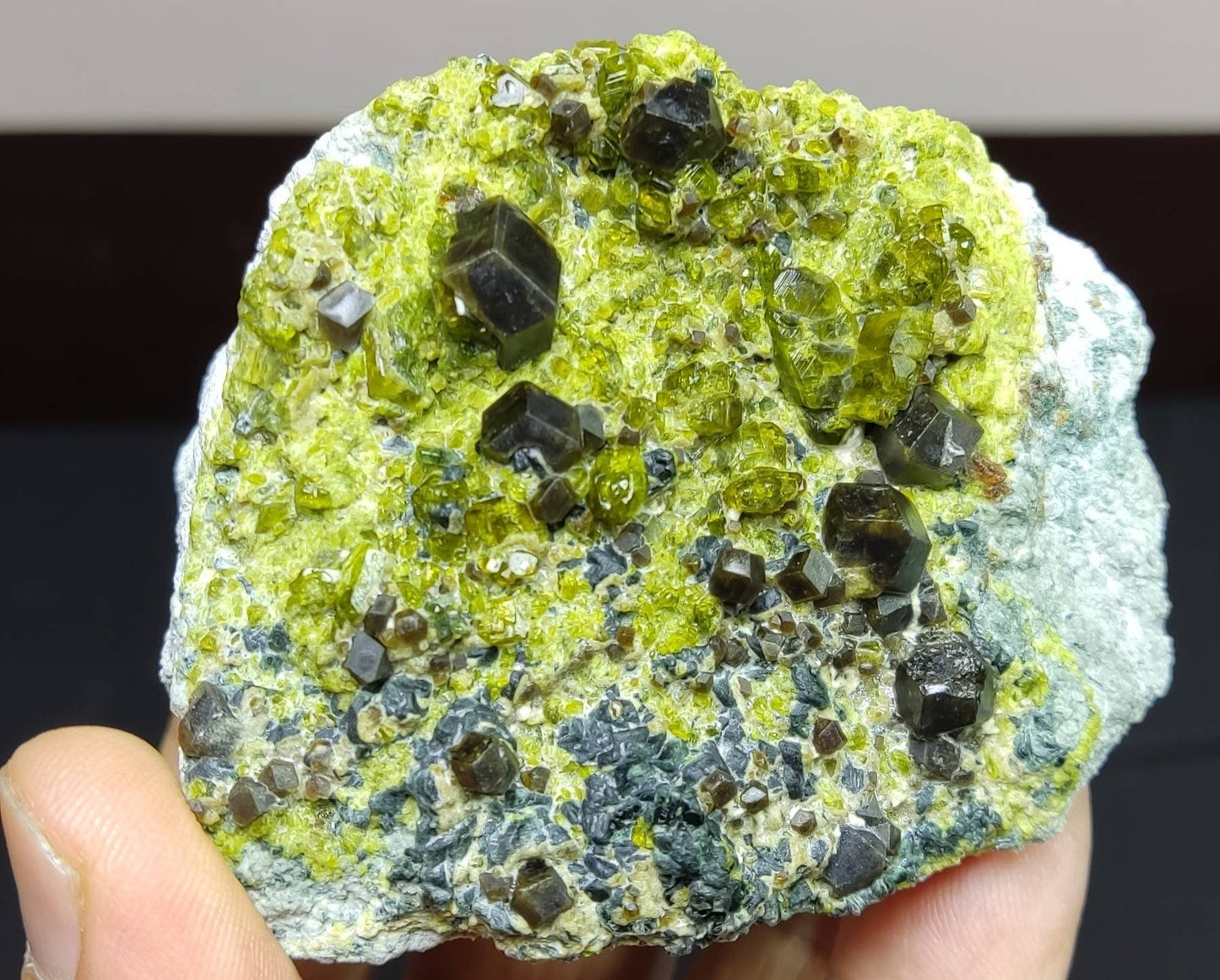 Andradite garnet crystals on matrix with epidote an aesthetic specimen 302 grams