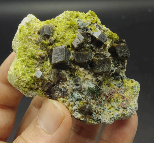 Andradite garnets on matrix with epidote and diopside 188 grams an aesthetic specimen
