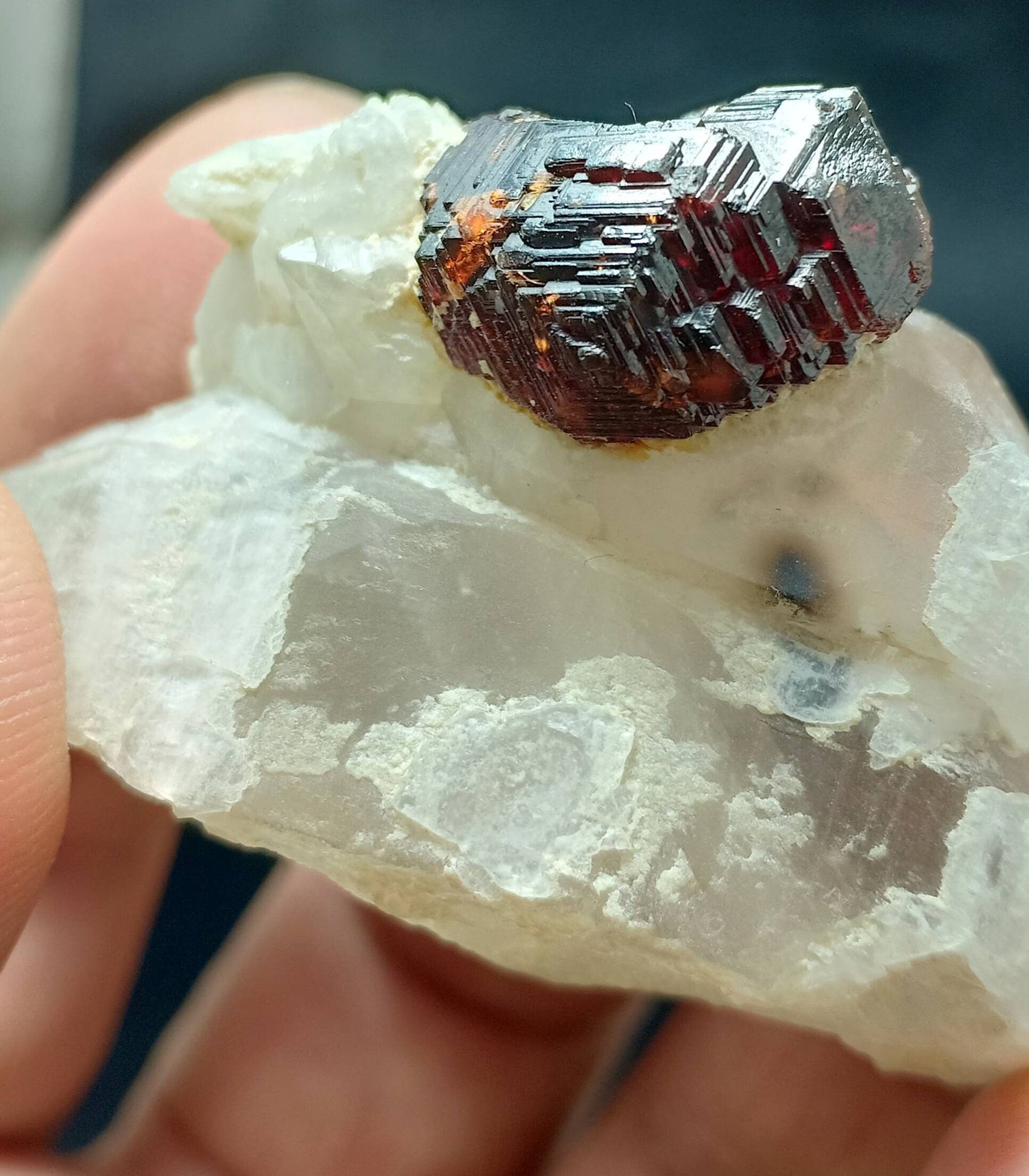 An amazing beautifully terminated specimen of spessartine Garnet crystal on twin crystals of quartz 45 grams