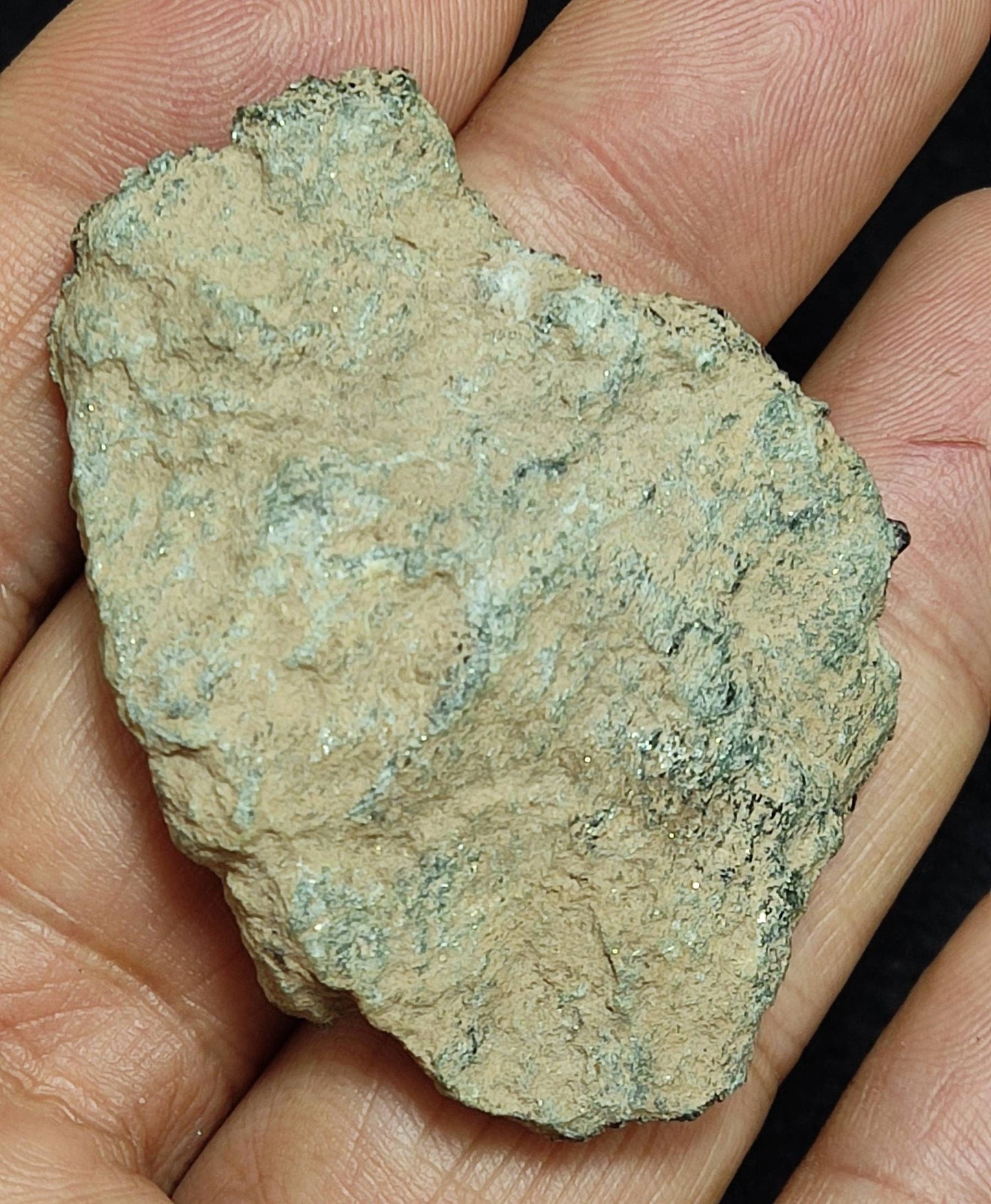 Magnetite crystals on matrix with clinochlore and andradite an aesthetic specimen 28 grams