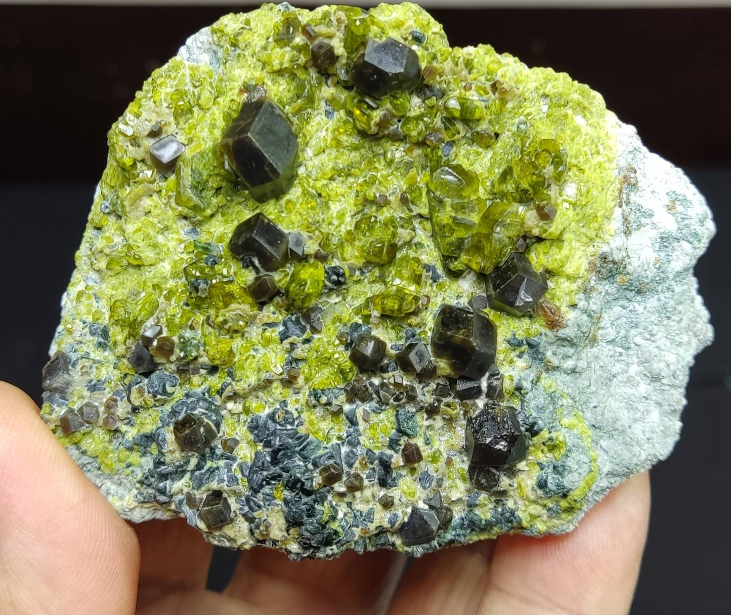 Andradite garnet crystals on matrix with epidote an aesthetic specimen 302 grams