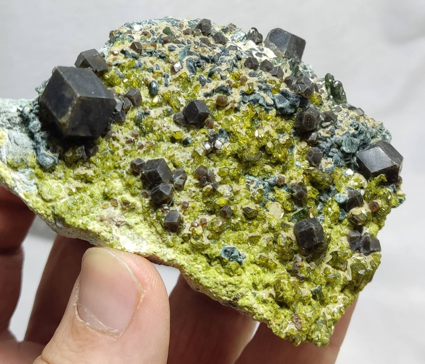 Andradite garnet crystals on matrix with epidote and clinochlore aesthetic specimen 210 grams