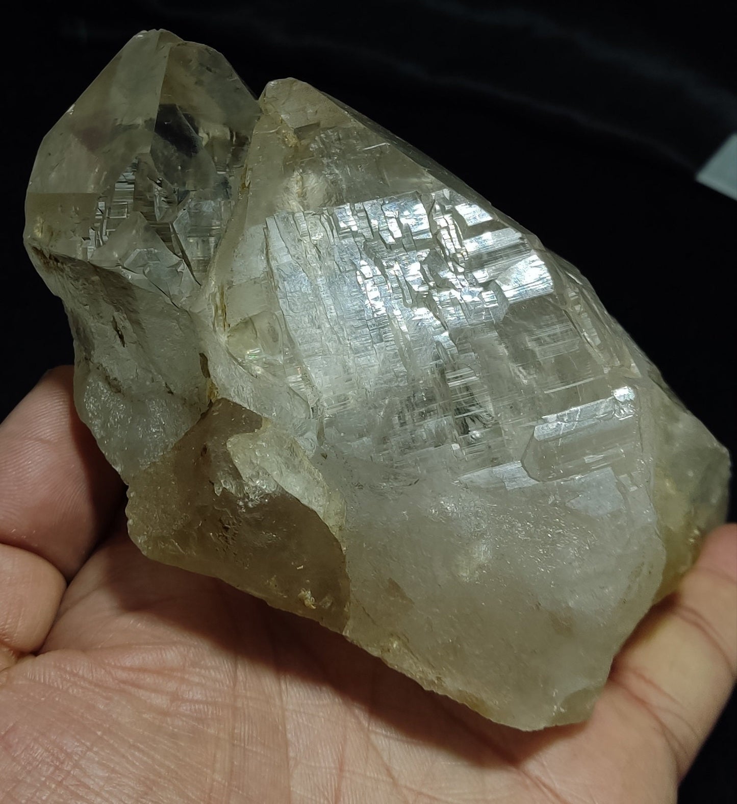 High Altitude light smoky Himalayan Quartz Cluster cabinet size 805 grams